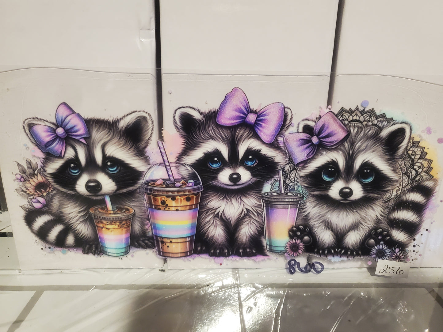 Racoon 256