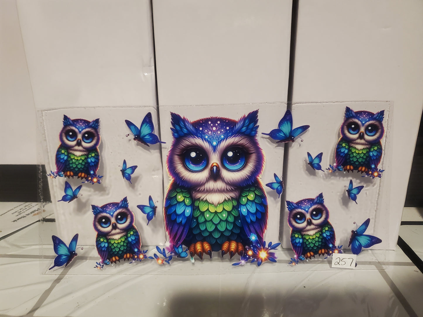 Owl 257