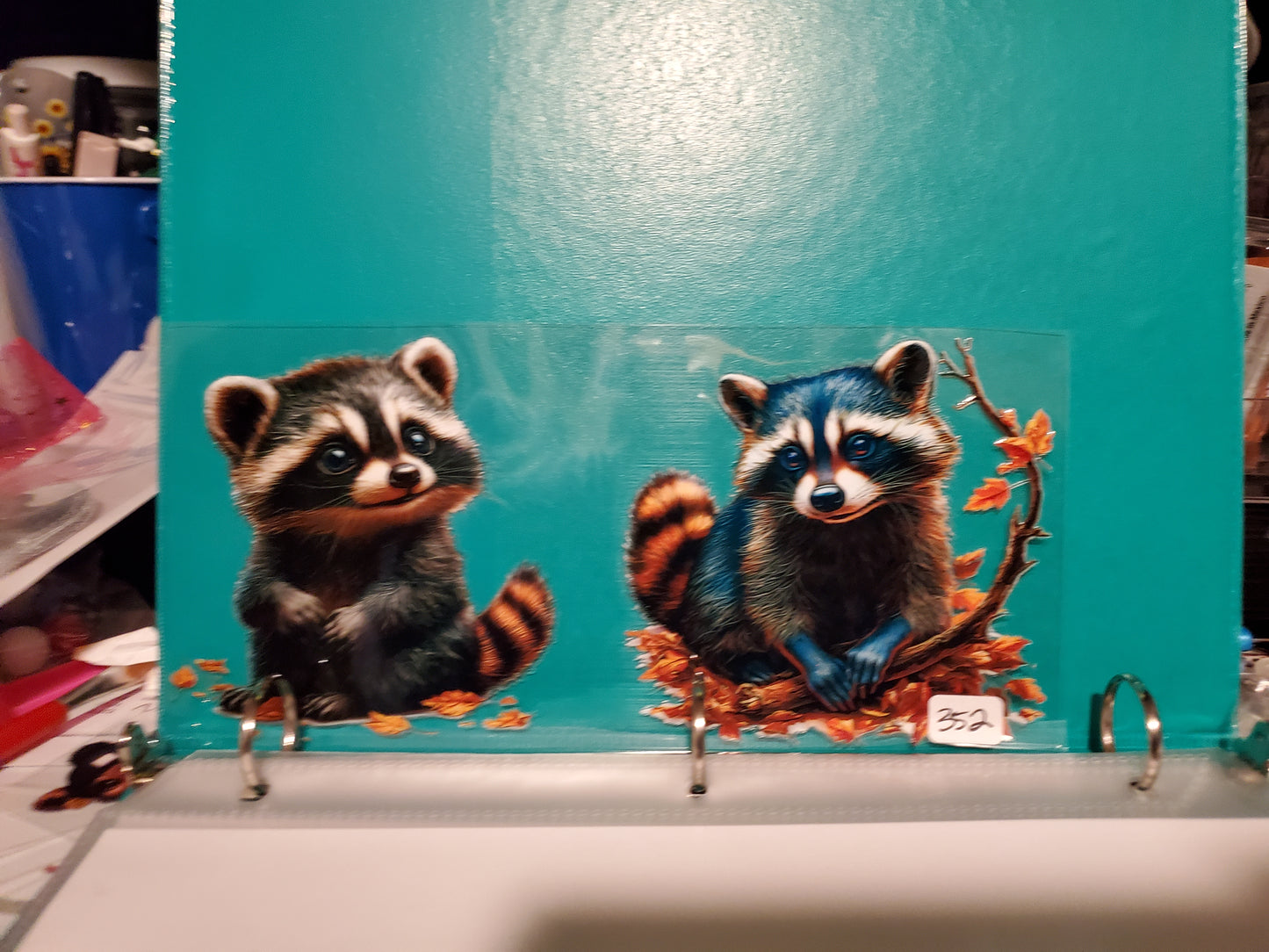 Racoon 352