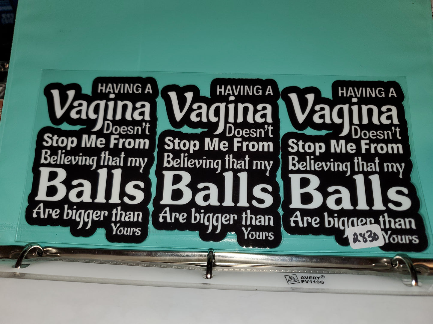 Having a Vagina 2830