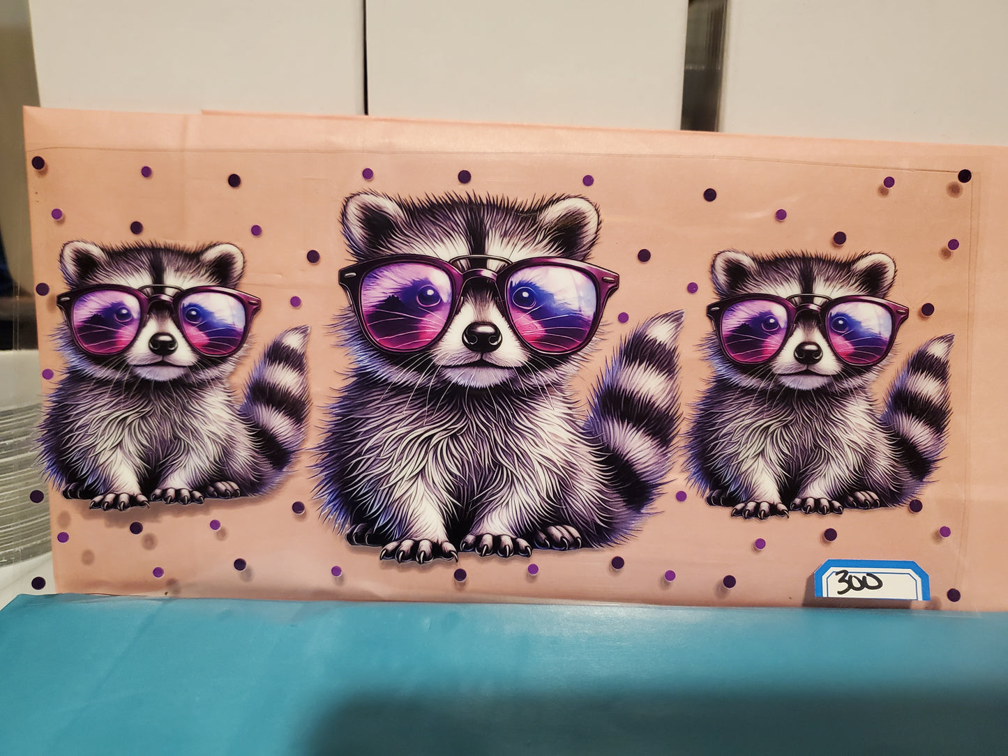 Racoon 300