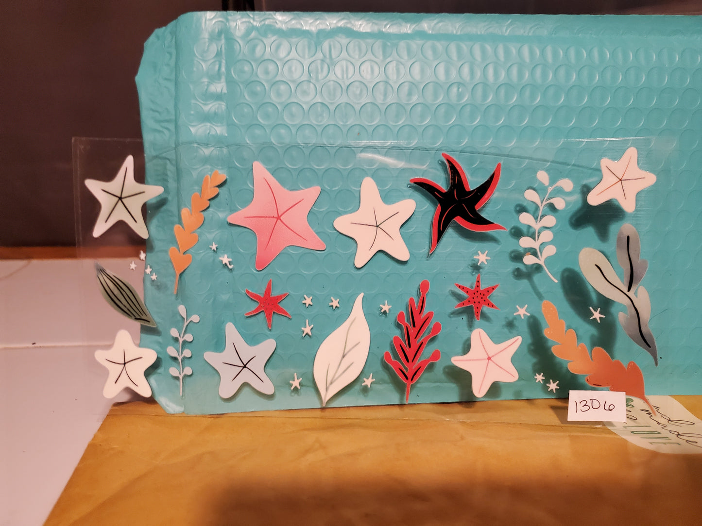 Starfish 1306