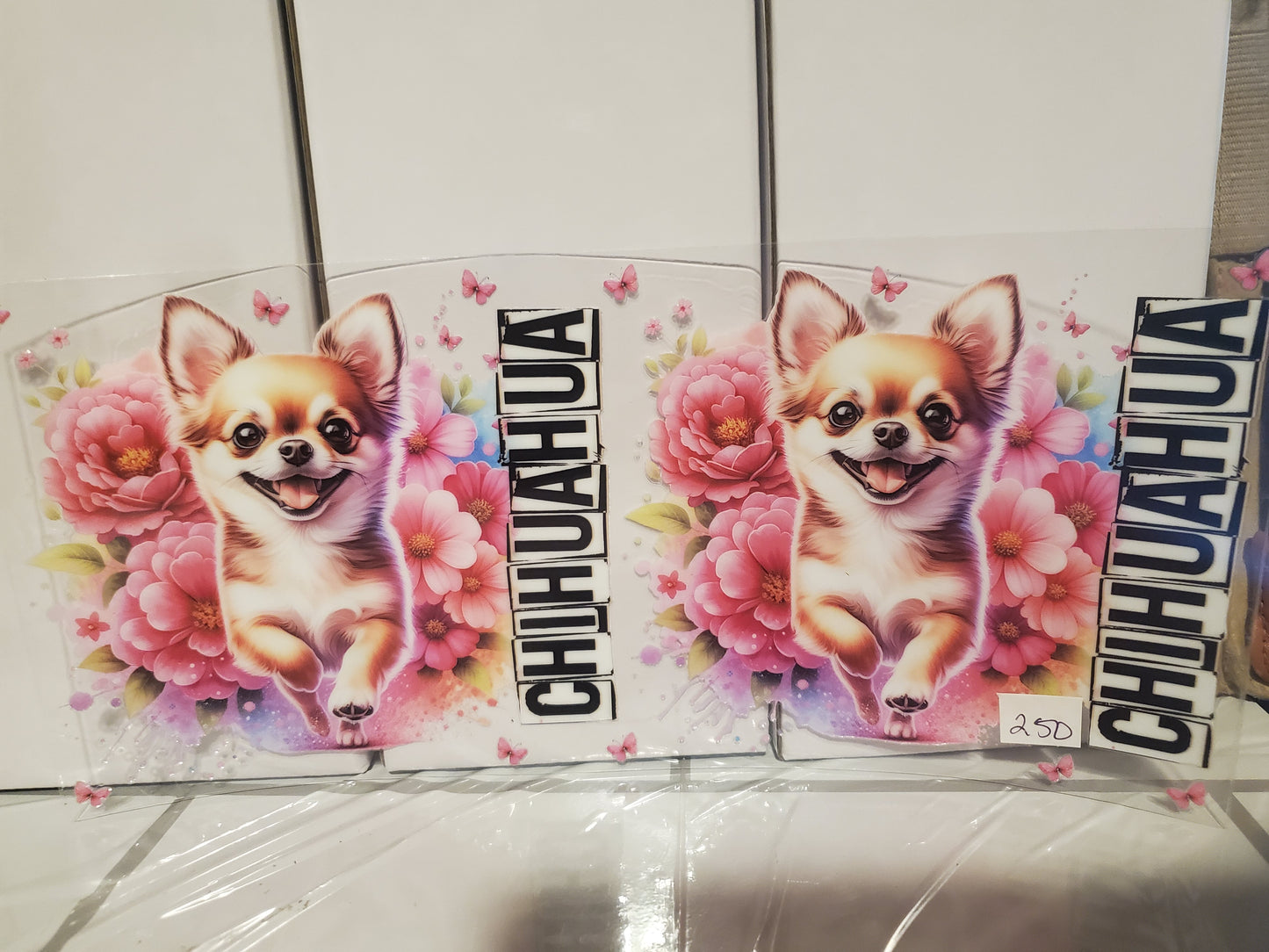 Chihuahua 250