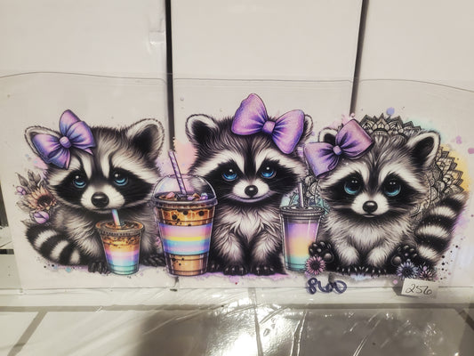 Racoon 256