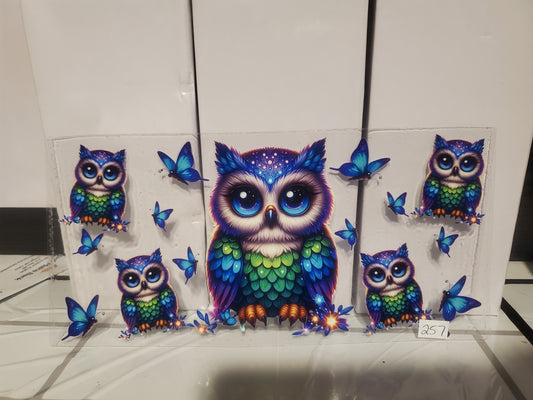 Owl 257