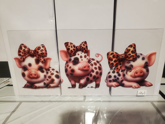 Pig 261