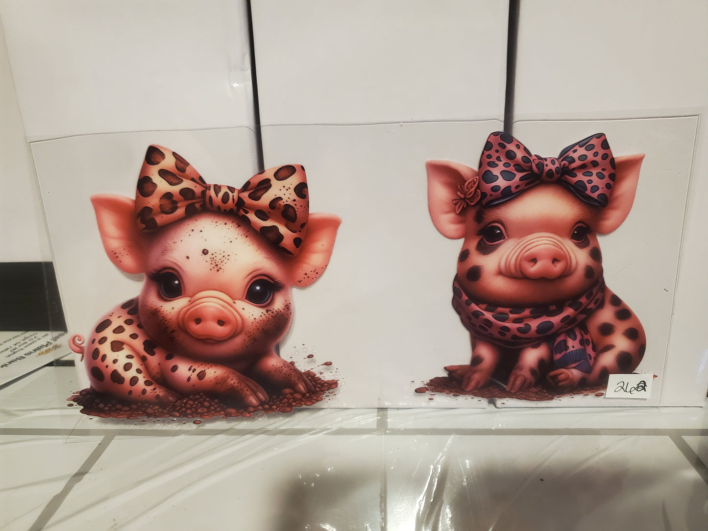 Pig 262
