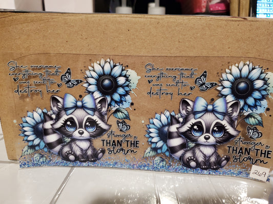 Racoon 269