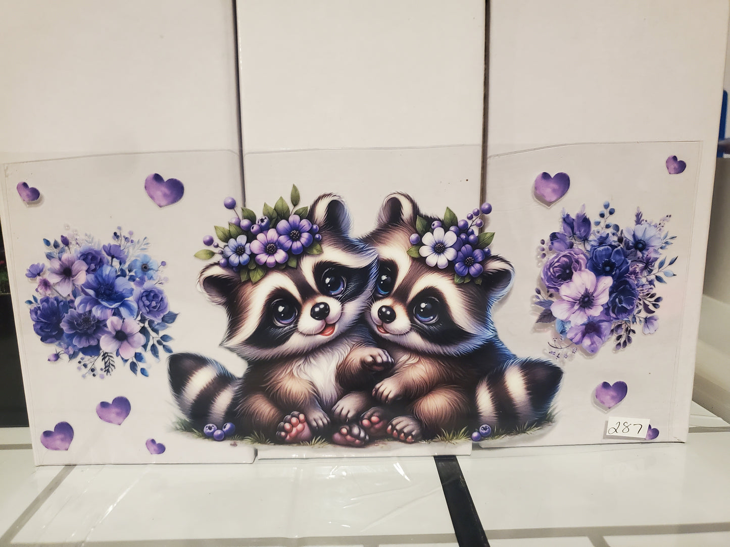 Racoon 287