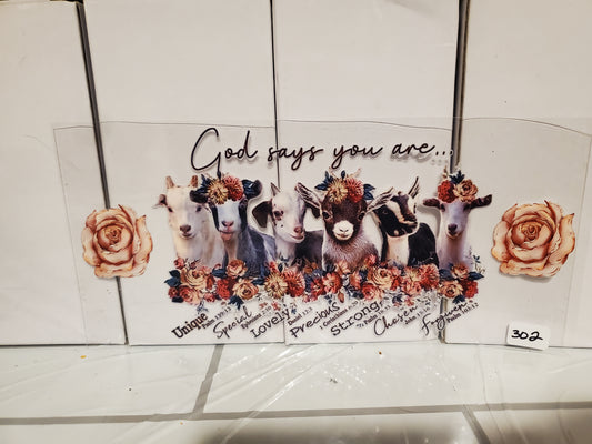 God says you are- Goats 302