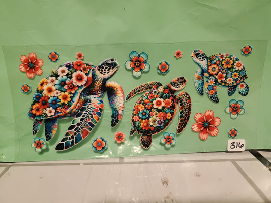 Turtles 316