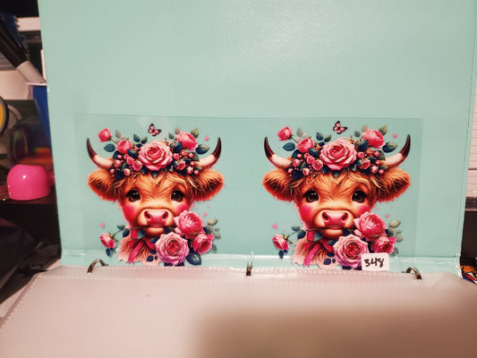 Cow 348