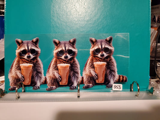 Racoon 353