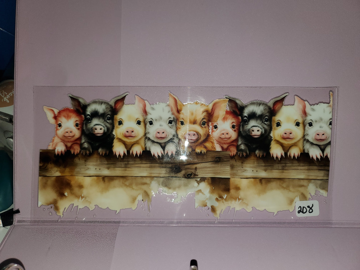 Pigs 208