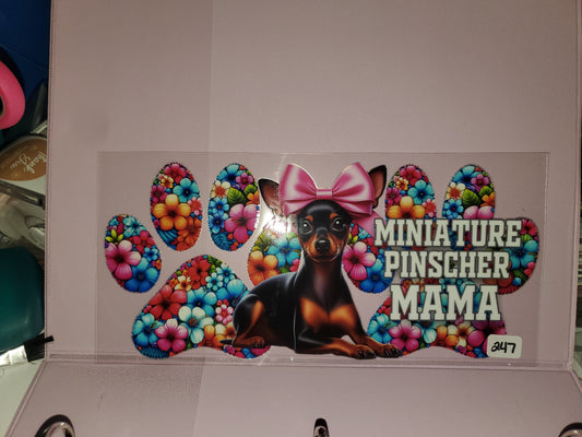 Miniature Pinscher Mama 247