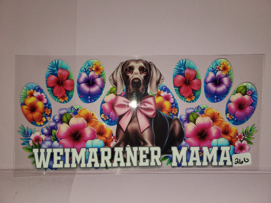 Weimaraner Mama 260