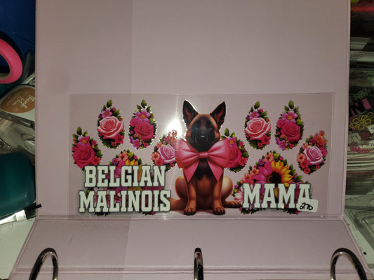 Belgian Malinois Mama 270