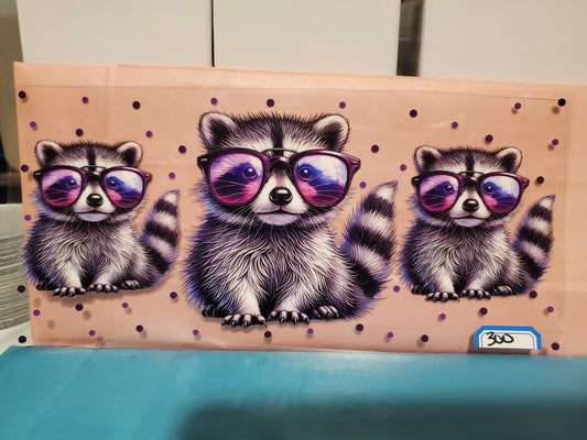 Racoon 300