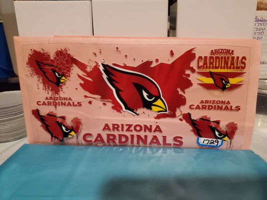 Arizona Cardinals 1729
